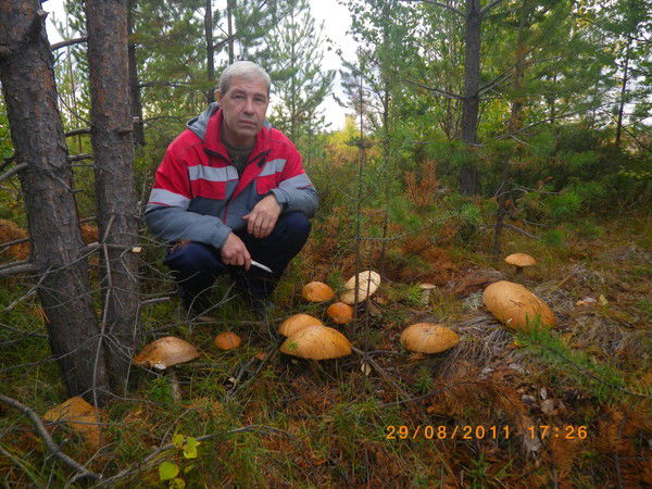 Алексей Воронов