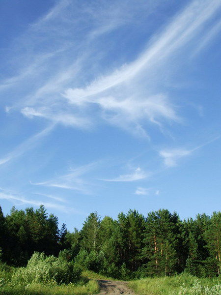 Елена Тетрадова