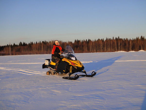 Елена Васильева