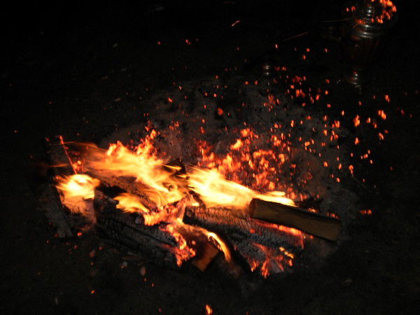 Александр Новиков