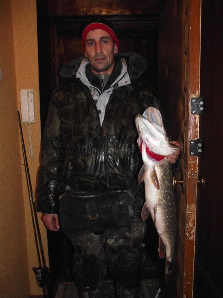 Дмитрий Золотарёв