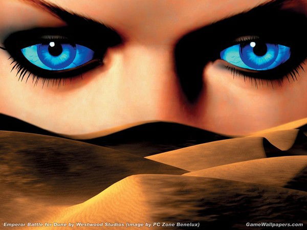 Алина Мельчакова