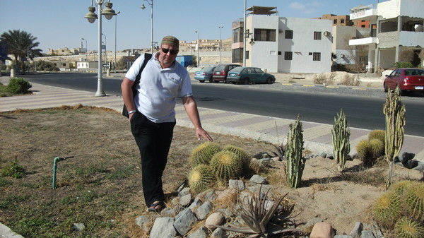 Дмитрий Орлов