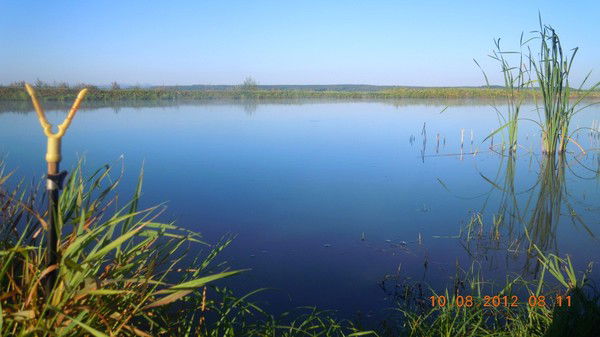 Алиcса Воробей