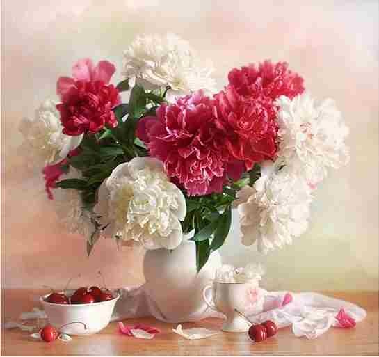 Евгения Чехонадских