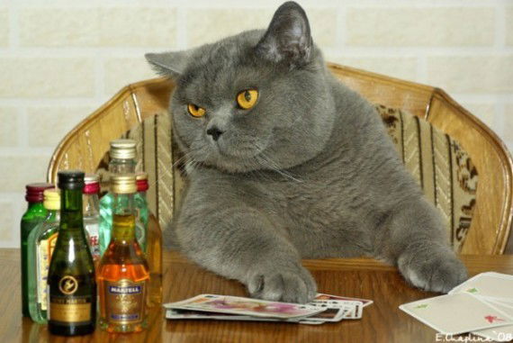 Владимир (Бик)