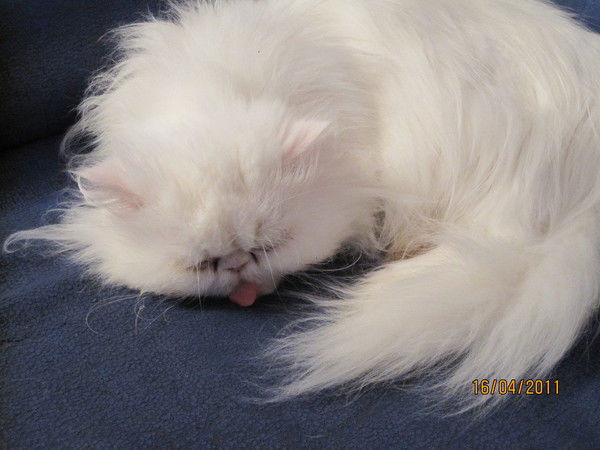 Вахтанг Южный