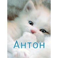 Антон Матюшенко