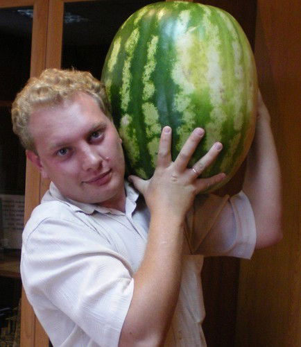 Евгений Иринархов