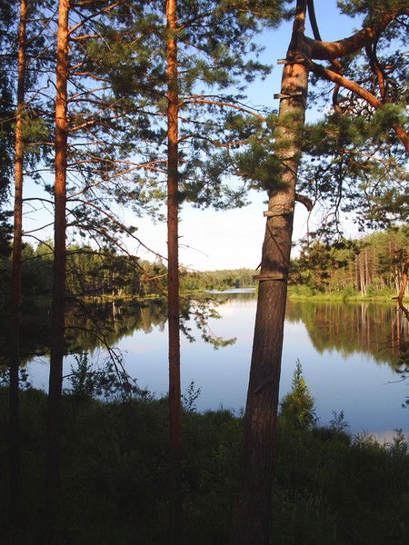 Мария Смирнова