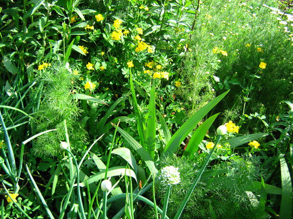 Игорь Кринберг