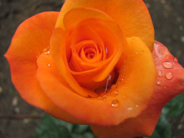 Юля Трофименцева