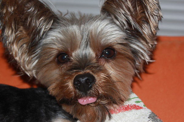 Наталия Емец