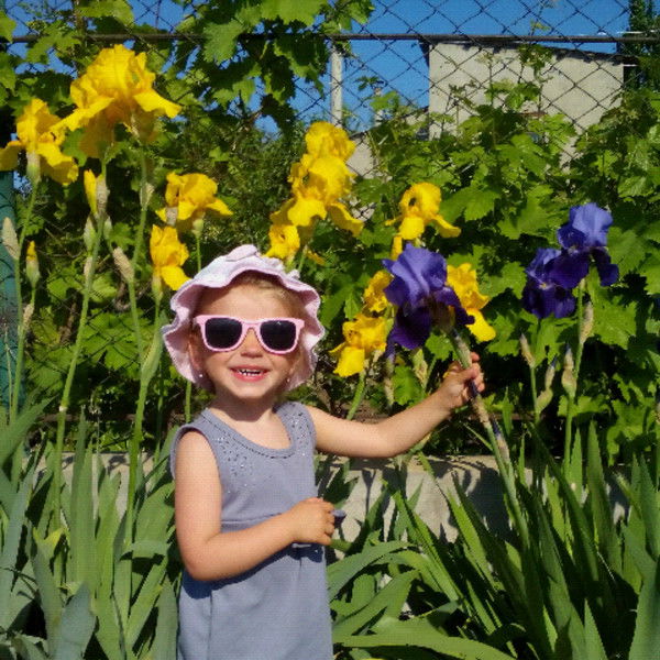 Елена Кренёва