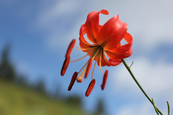 Беликто Данзандоржиев