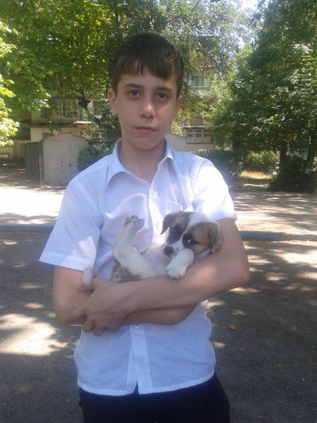 Андрей Сулимин