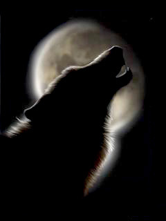 Рустам Цечоев