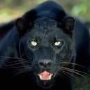 Маня Иванова