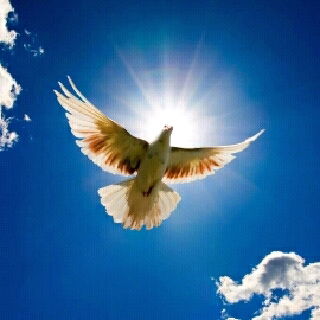 Татьяна Аксенова