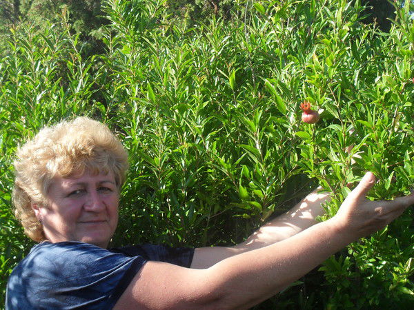 Галина Топоркова