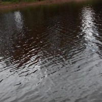 Лада Кожедуб