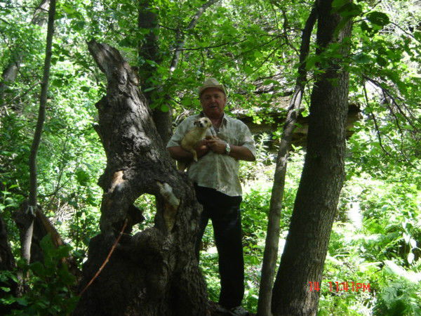 Сергей Вашутин