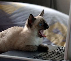 Виктор Шароварин