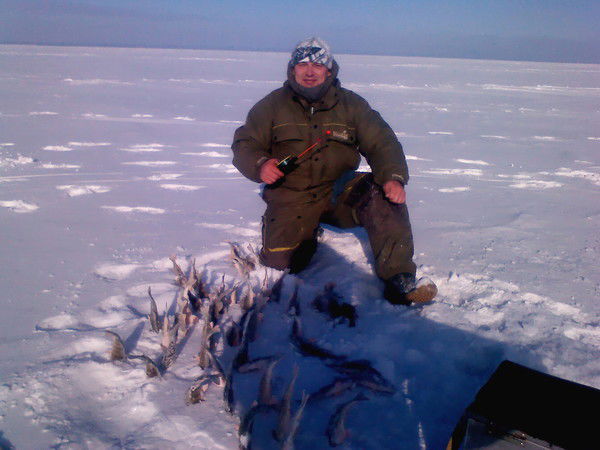 Андрей Сомов