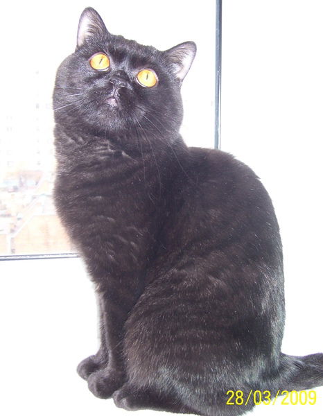 Людмила Селюнина