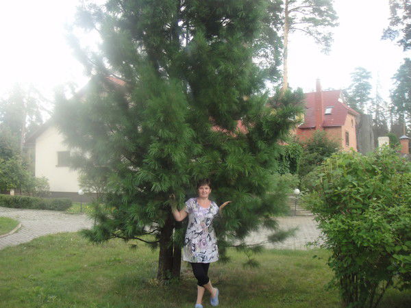 Люда Татаренко