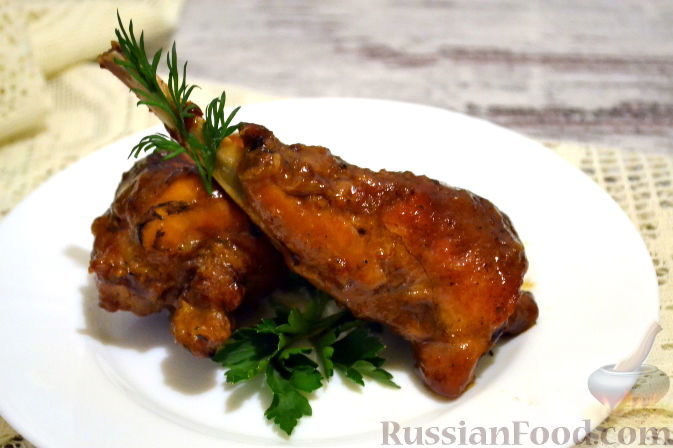 Защитник Животных