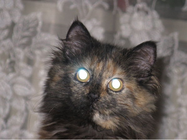 Татьяна Фёдорова