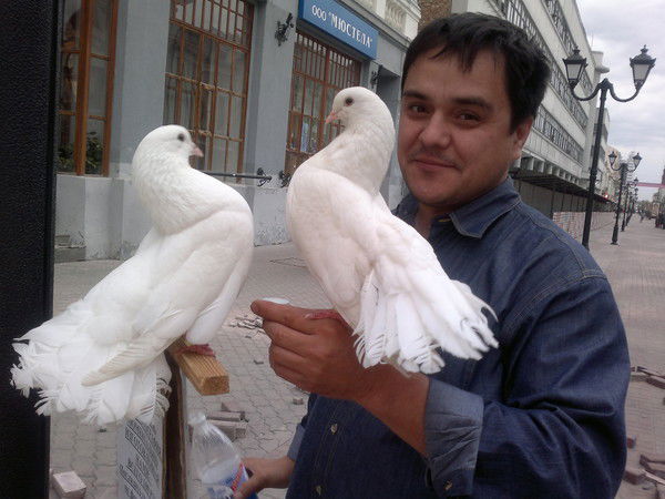 Руслан Аминов