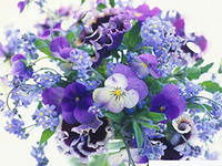 Елена Белякова