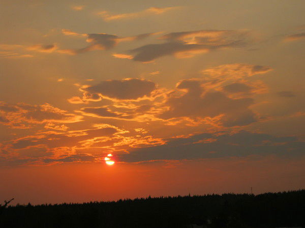 Анна Егорова