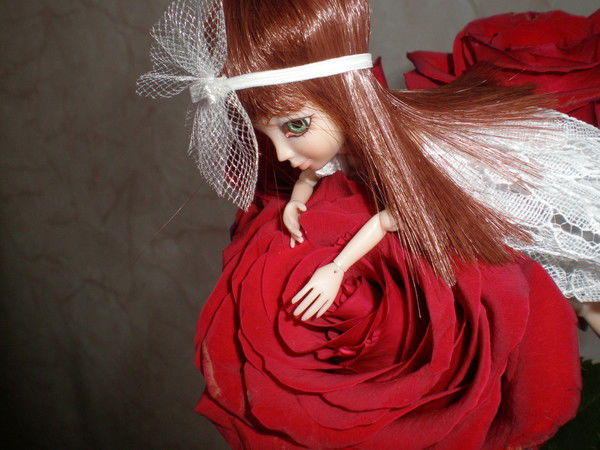 Алина Лисовская