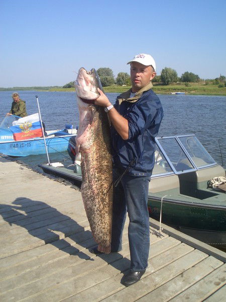 Фролов Федор