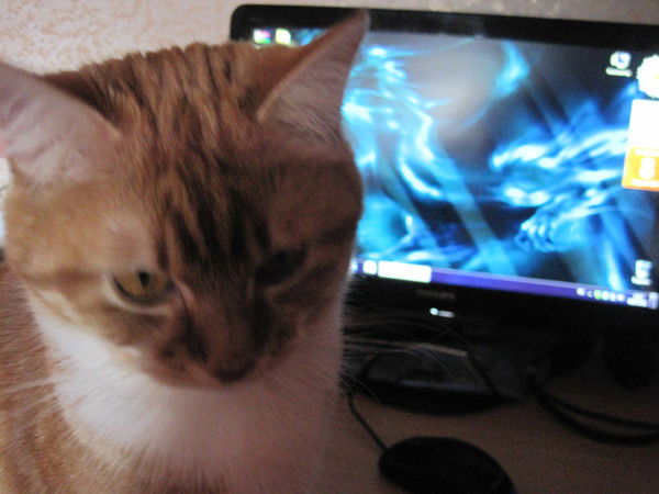 Ирина Соболева