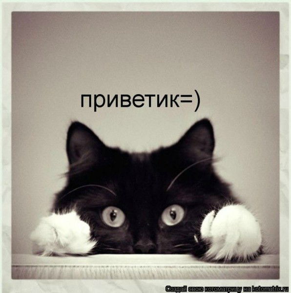 Юлия Сиворонова