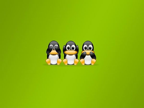 Андрей Елькин