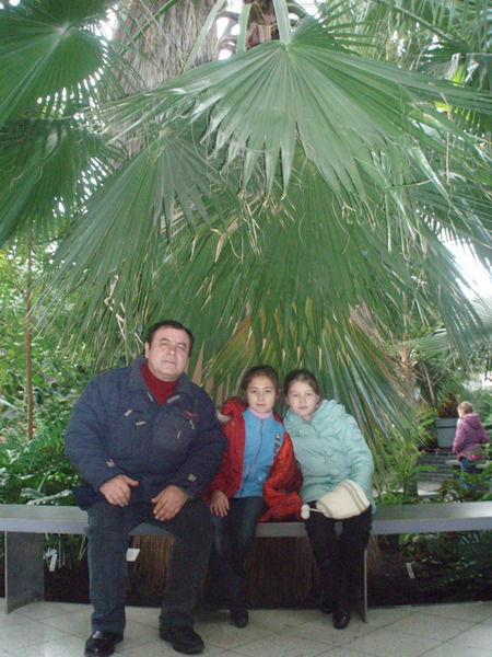 Шамиль Алиулов