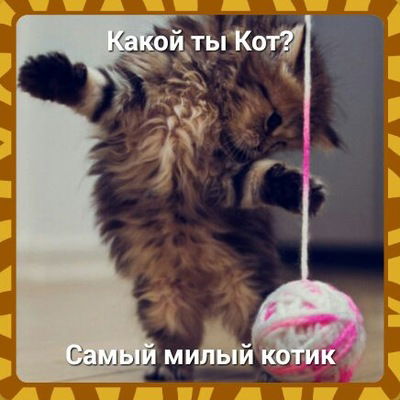 Екатерина Тиунова