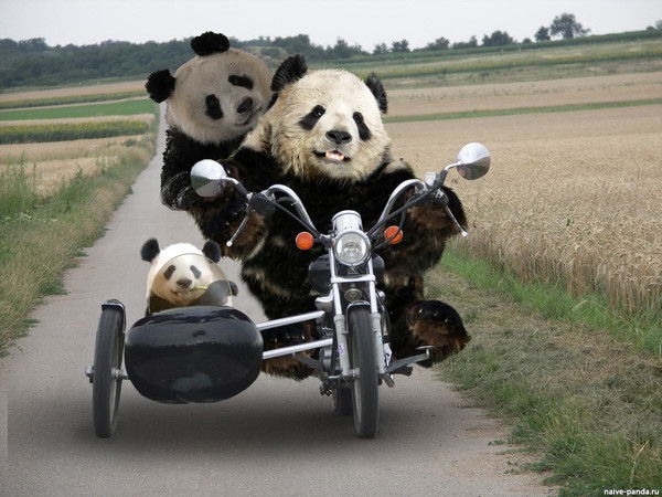 Дмитрий Ковалев