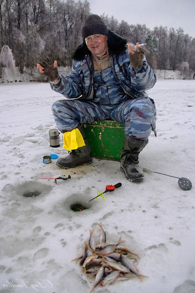 Геннадий Тарасик