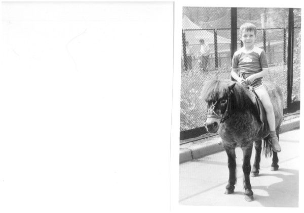 Николай Никитин