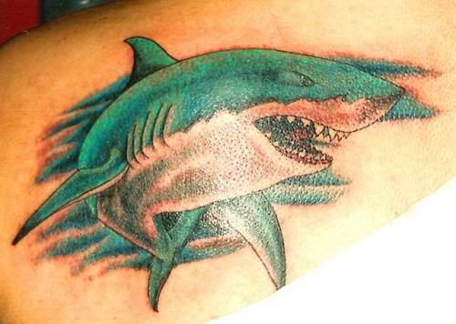 Петруха Ткаченко