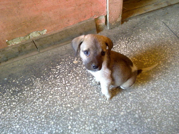 Дмитрий Колпаков