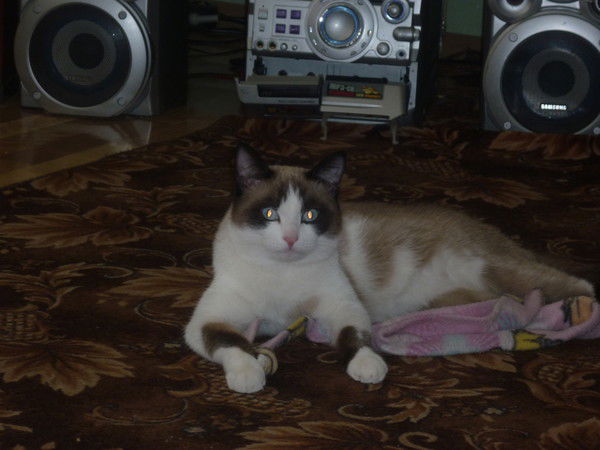 Лидия Каминская