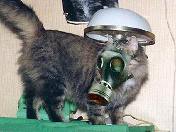 Андрей Тищенко