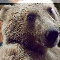 Максим Зубров